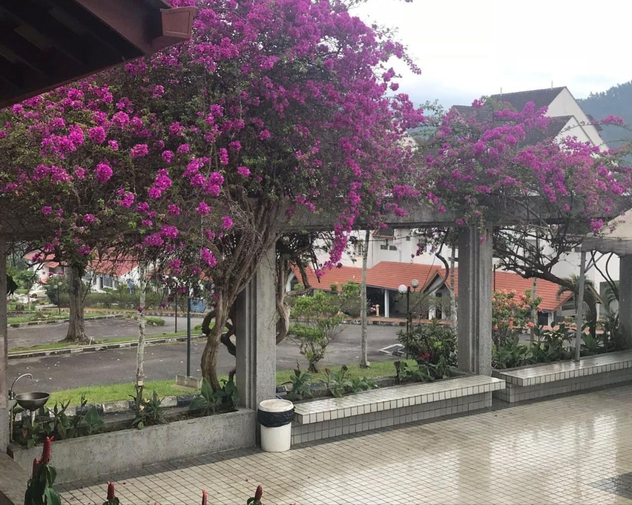 Thatniceplace In Selesa Hillhome, Bukit Tinggi, Bentong, Genting Εξωτερικό φωτογραφία